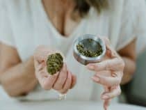 Choisir le CBD idéal pour une expérience bien-être quotidienne optimale