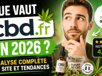 Que vaut cbd.fr en 2026 ? Analyse complète du site et tendances